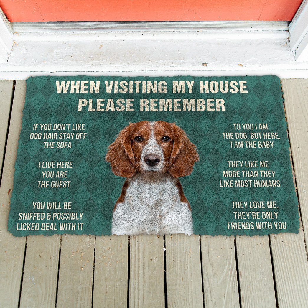 GearHuman 3D Please Remember Welsh Springer Spaniel Dogs House Rules Doormat GV250140 Doormat
